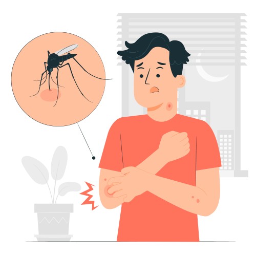 Dengue Fever: Foods To Eat And Avoid